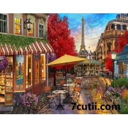 Pictura pe numere - Cafeneaua secreta din Paris