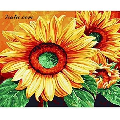 Pictura pe numere -Floarea, mangaiata de razele soarelui