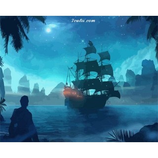 Pictura pe numere -Piratii din Caraibe