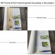 Pictura pe numere - Buchet splendid in roz