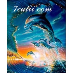 Pictura pe numere - Delfinul in mare