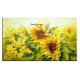 Pictura pe numere - " CamP de floarea-soarelui"" Camp de floarea-soarelui"