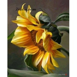 Pictura pe numere - Floarea soarelui gingasa