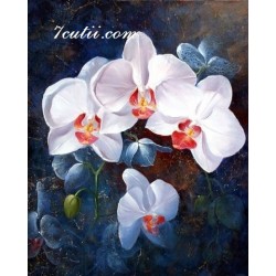 Pictura pe numere - Orhidee albe