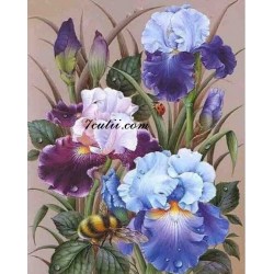 Pictura pe numere - Irisi in albastru