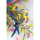 Pictura pe numere - Papagali colorati si florile exotice