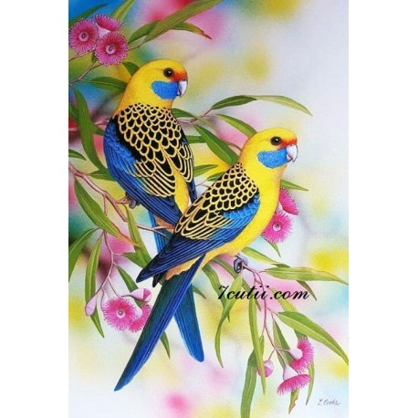 Pictura pe numere - Papagali colorati si florile exotice
