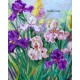 Pictura pe numere - Irisi fragili