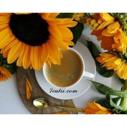 Pictura pe numere - Cafea de dimineata si flori pentru noroc