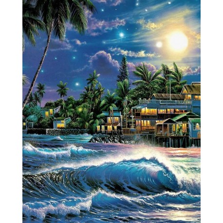 Pictura pe numere - Frumoasa noapte hawaiiana