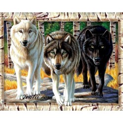 Pictura pe numere - Cei trei lupi