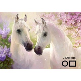 Goblen de diamante - Doi cai albi - frați