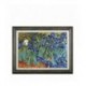Set Goblen - Irisi - dupa pictura lui Vincent van Gogh. Punct in cruce, Aida 16K