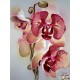 Goblen de diamante -Orchidea Delicata