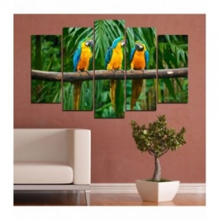 Tablou multicanvas - Papagali in jungla
