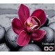 Goblen de diamante - Orhidee mov