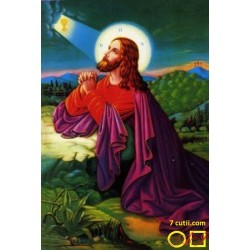 Goblen de diamante - Isus se roaga in gradina Ghetsimani