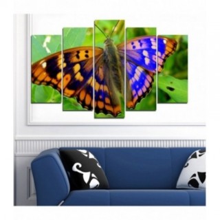 Tablou multicanvas - Fluture cu aripi colorate