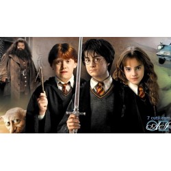 Goblen de diamante - Harry Potter - elevii din Hogwards
