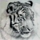 Goblen de diamante - Tigru in alb si negru