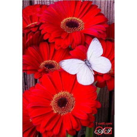 Goblen de diamante - Gerberi rosii - fluture alb
