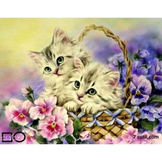 Goblen de diamante - Doua pisicute intr-un cos cu flori