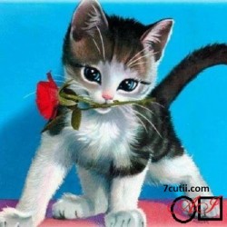 Goblen de diamante - Pisica cu trandafir