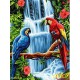 Goblen de diamante - Papagali tropicali