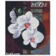 Goblen de diamante - Orchidea alba