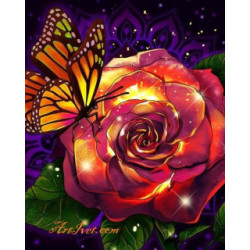Pictura pe numere - Tandrete infocata - trandafir si fluture