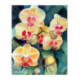 Pictura pe numere - Orhidee maiestuoase galbene