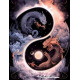 Pictura pe numere - Yin-Yang cu dragoni japonezi