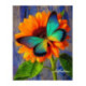 Pictura pe numere - Fluturele turcoaz si floarea portocalie