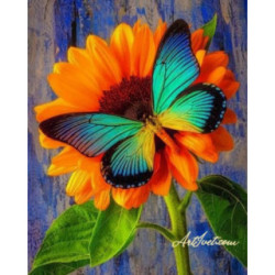Pictura pe numere - Fluturele turcoaz si floarea portocalie