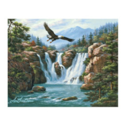 Pictura pe numere - Zborul vulturului deasupra cascadei
