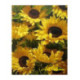 Pictura pe numere - Floarea soarelui pentru bucurie si optimism
