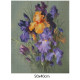 Goblen de diamante - Buchet cu Irisi in Violet si portocaliu