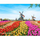 Pictura pe numere -