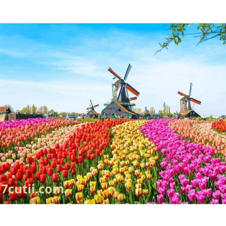 Pictura pe numere -
