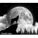 Pictura pe numere - Salutam luna