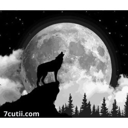 Pictura pe numere - Salutam Luna