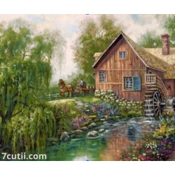 Pictura pe numere - Casa doamnei Aslam
