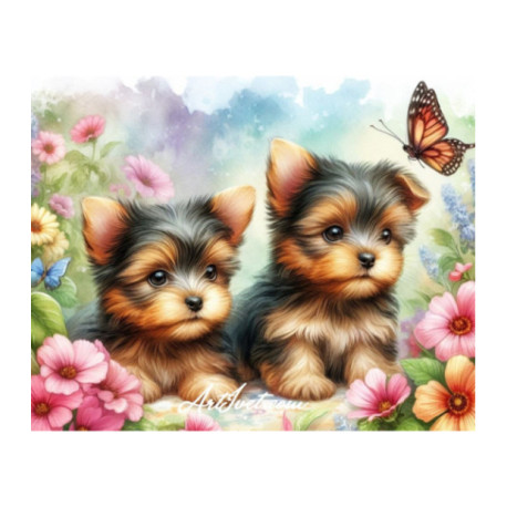 Pictura pe numere - Catelusii Yorkie si fluturele