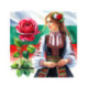 Pictura pe numere - Bulgaria cu miros de trandafir 40х40 сm