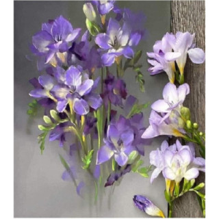 Pictura pe numere - Flori gingase purpurii