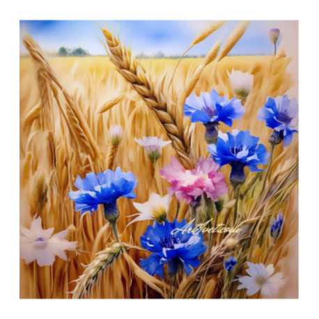 Pictura pe numere - Campul de grau cu flori albastre 40x40 cm