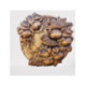 Sculptura in lemn - Pasari printre mere