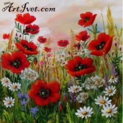 Pictura pe numere - Maci si margarete printre iarba 40х40 см