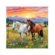 Pictura pe numere - Doi cai in camp 40х40 сm