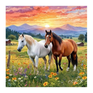 Pictura pe numere - Doi cai in camp 40х40 сm